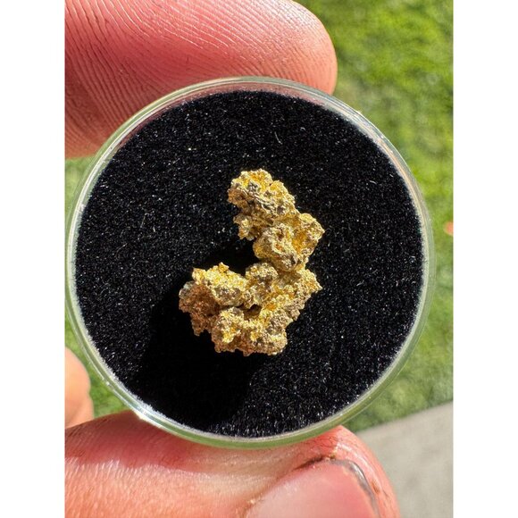 California Native Gold Crystal - 1.21 grams - Picture 3 of 7